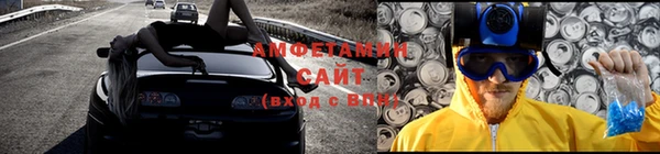 ПСИЛОЦИБИНОВЫЕ ГРИБЫ Осинники