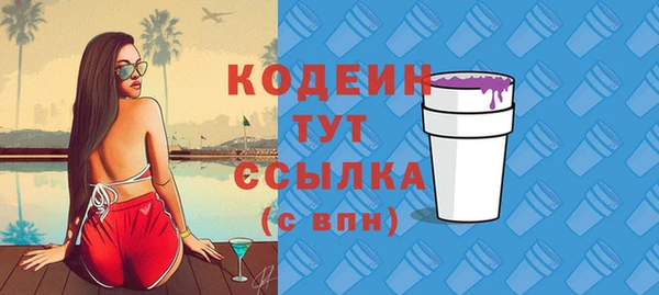 прущие грибы Нея