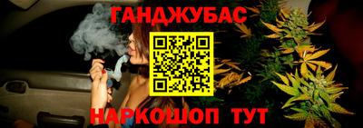 крисы Абакан