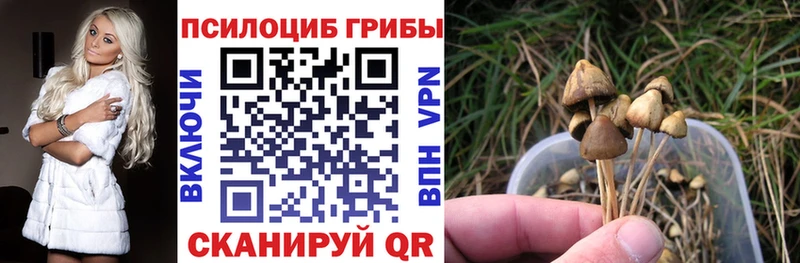 где найти наркотики  Кимовск  Псилоцибиновые грибы мухоморы 