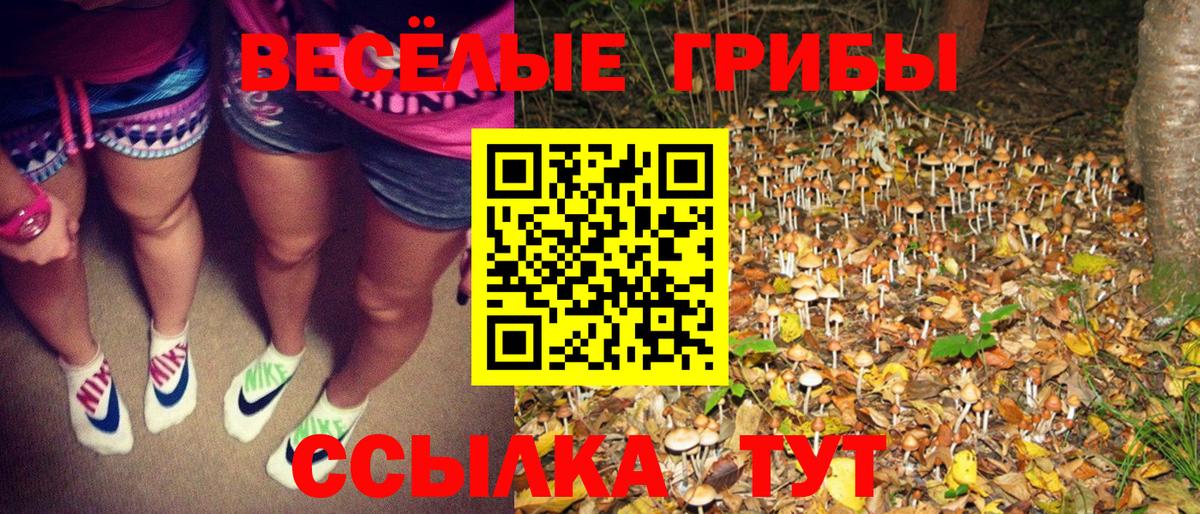 Галлюциногенные грибы мухоморы  Вход с VPN  купить наркотики цена  Кимовск 