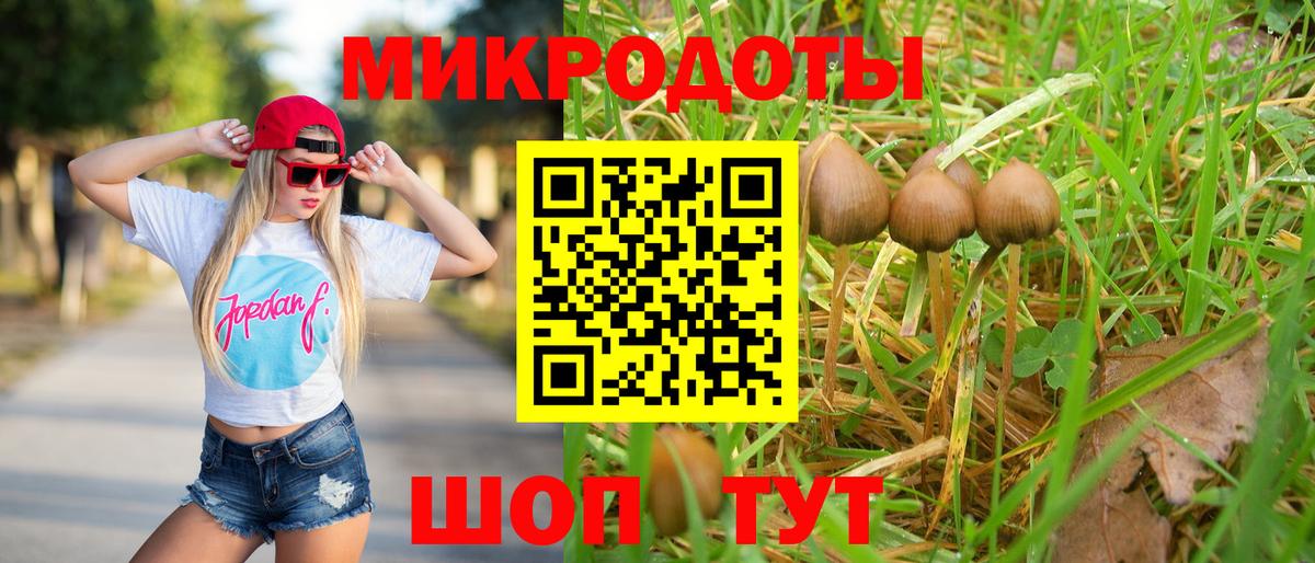 Галлюциногенные грибы Psilocybine cubensis Кимовск