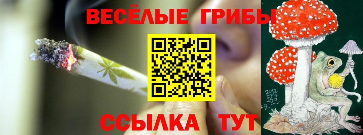 Галлюциногенные грибы прущие грибы Кимовск